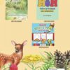 ABC of Nature- Nature Journaling For Young Explorers - Image 3